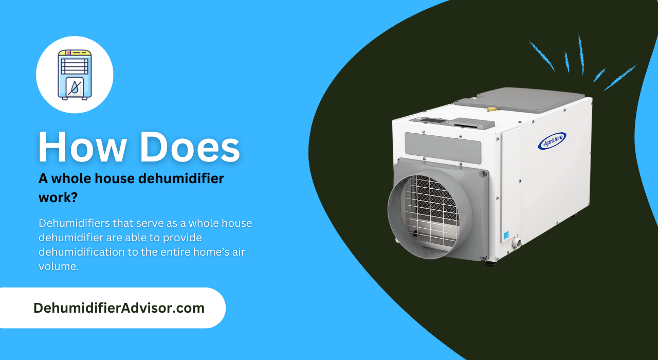 How Does A Whole House Dehumidifier Work? - Dehumidifier Advisor