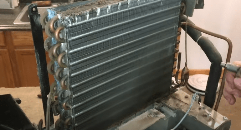 Unclean coils of dehumidifier 