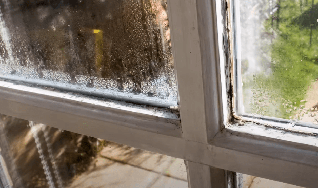 Open windows to prevent moist 